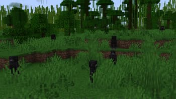 Ambient Additions screenshot
