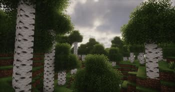 Leaves Plus 🌳 screenshot