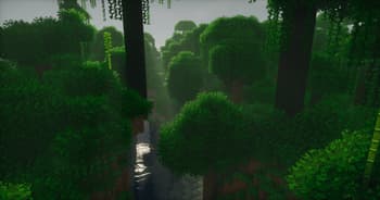 Leaves Plus 🌳 screenshot