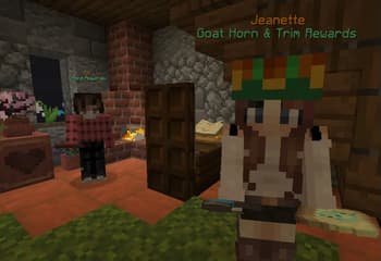 FancyNpcs screenshot