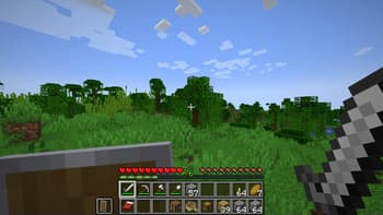 TinyInv screenshot