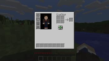TinyInv screenshot