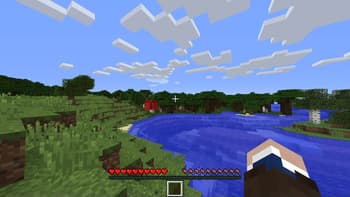 TinyInv screenshot