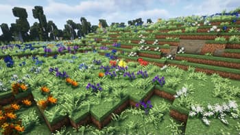 [Let's Do] HerbalBrews screenshot