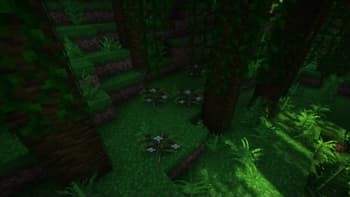[Let's Do] HerbalBrews screenshot