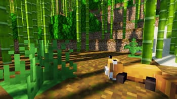 Wandering Wildlife screenshot