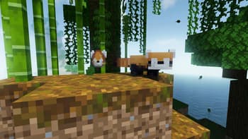 Wandering Wildlife screenshot