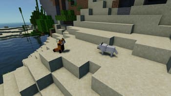 Wandering Wildlife screenshot