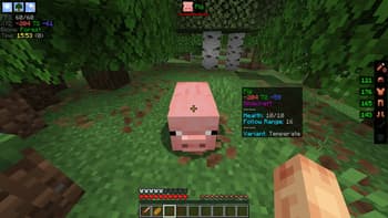 EssentialGUI screenshot