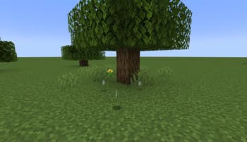 Disx [Fabric/Forge/Quilt] screenshot