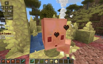 Eymistaken's HUD screenshot