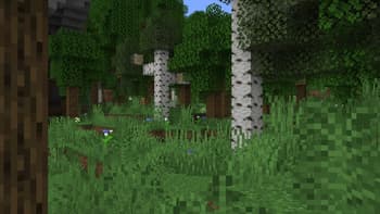 Biomes Rebalanced screenshot