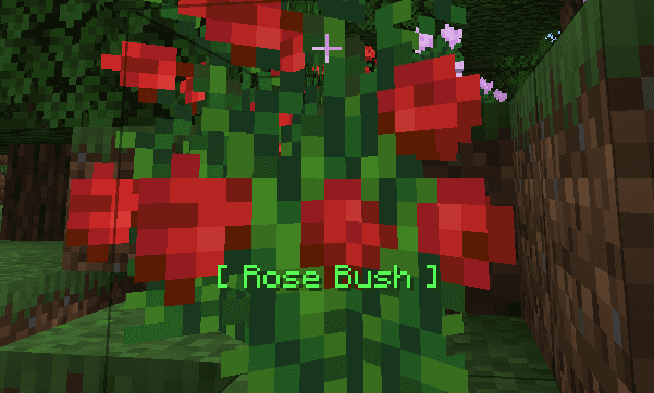 Reader screenshot