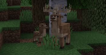 Naturalist screenshot