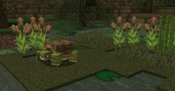 Naturalist screenshot