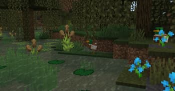 Naturalist screenshot