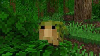 Kakapos screenshot