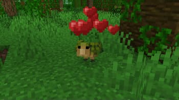 Kakapos screenshot