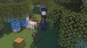 More Banner Features screenshot