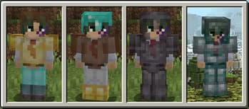 Show Me Your Skin! (Neoforge Port) screenshot