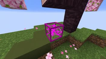 PinkCPVP screenshot