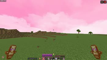 PinkCPVP screenshot