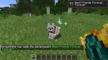 Minimoriya Pack screenshot