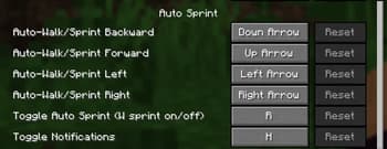 Auto Sprint Plus screenshot