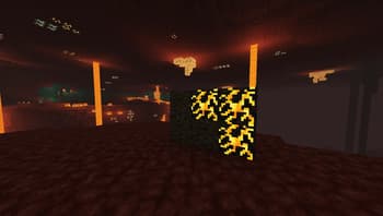 Nether & End screenshot