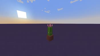 Blooming Cacti Pots screenshot