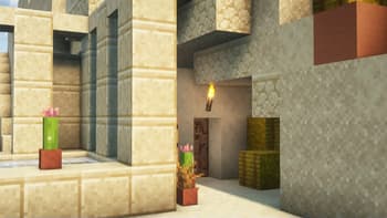 Blooming Cacti Pots screenshot