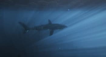 Apex Waters screenshot