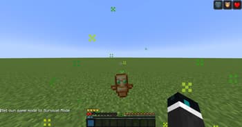 Voided Ward Overlay screenshot