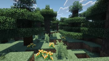 Bloom screenshot