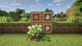Bloom screenshot