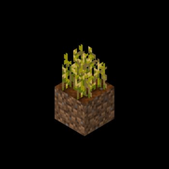 Tall Wheat screenshot