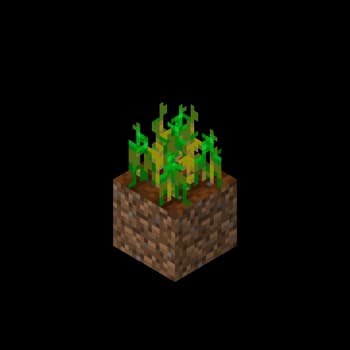 Tall Wheat screenshot