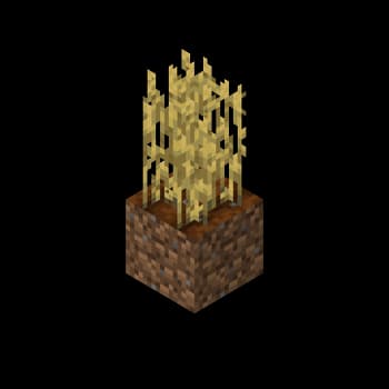 Tall Wheat screenshot