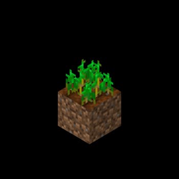 Tall Wheat screenshot