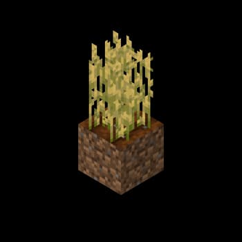 Tall Wheat screenshot