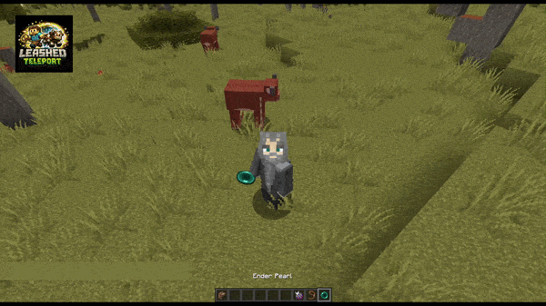 Leashed Teleport screenshot