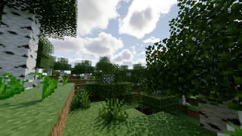 Camellia screenshot