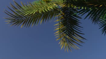 Compbuild Textures screenshot