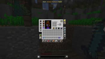 NotEnoughUpdates screenshot