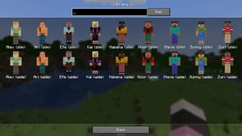 skin overrides screenshot