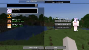 skin overrides screenshot