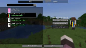 skin overrides screenshot