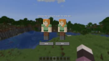 skin overrides screenshot