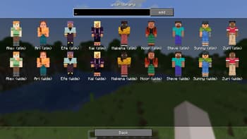 skin overrides screenshot