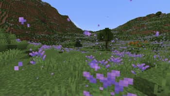 Aurora's Decorations screenshot